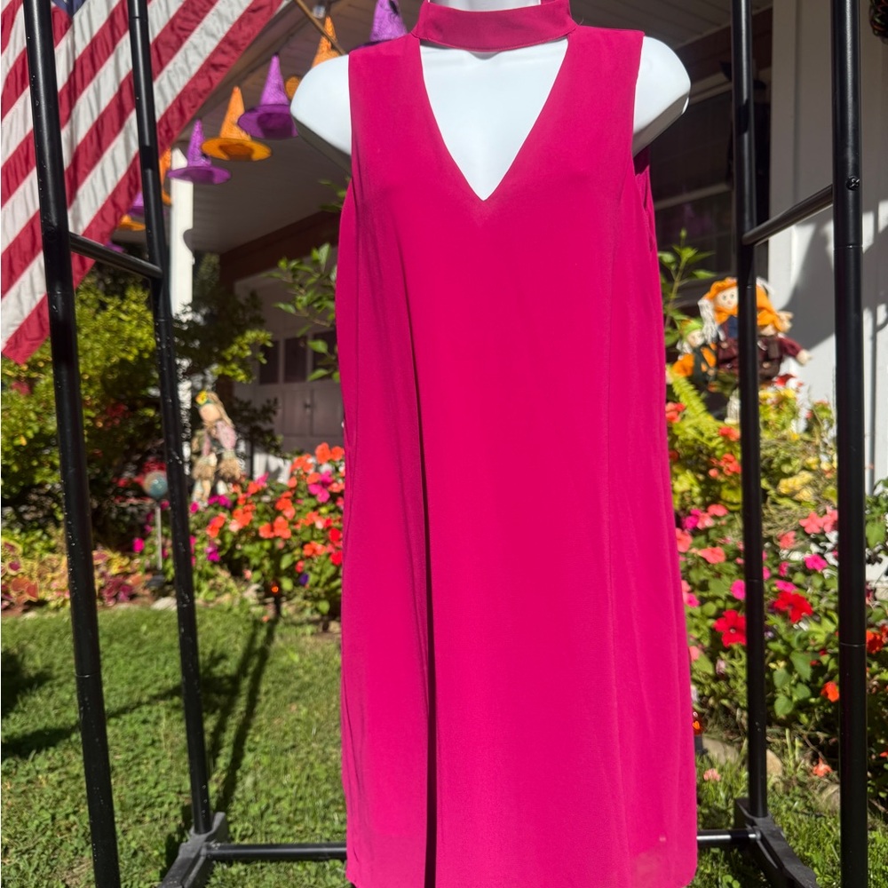 by & by Vibrant Pink Mini Dress